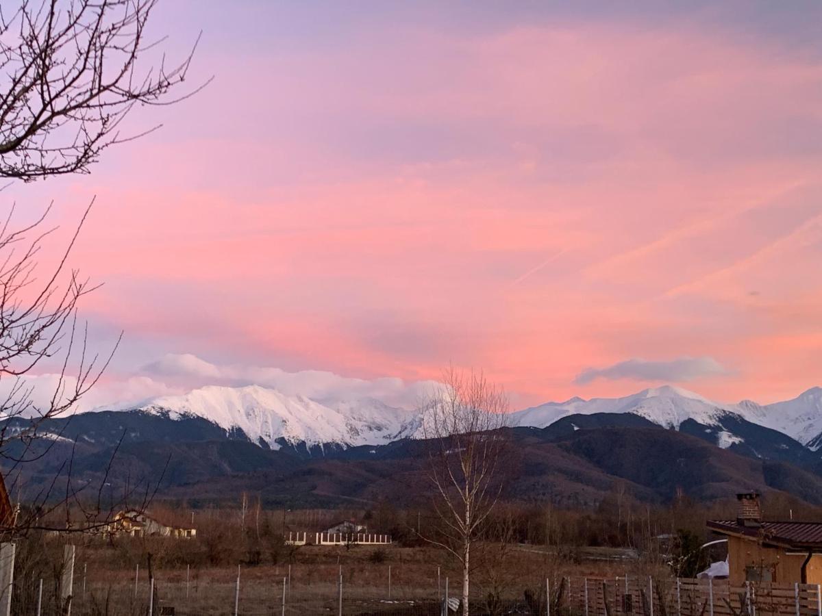 Epic House Valea Avrigului Villa Bagian luar foto