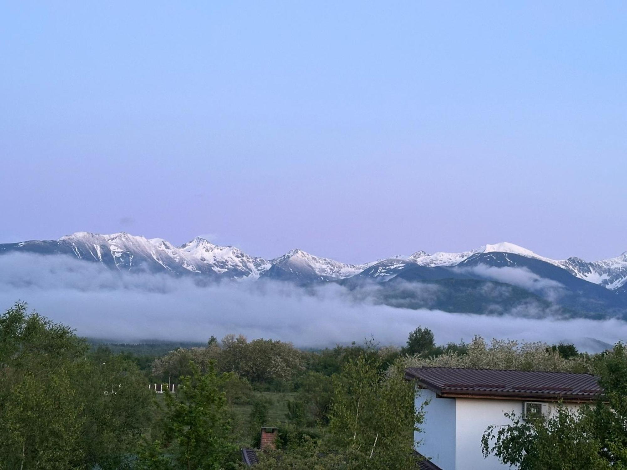 Epic House Valea Avrigului Villa Bagian luar foto